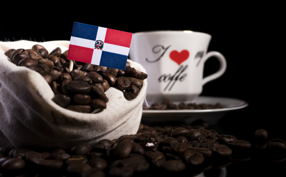Doiminic Santo Domingo kahvesi ile mükemmel french press nasıl yapılır?